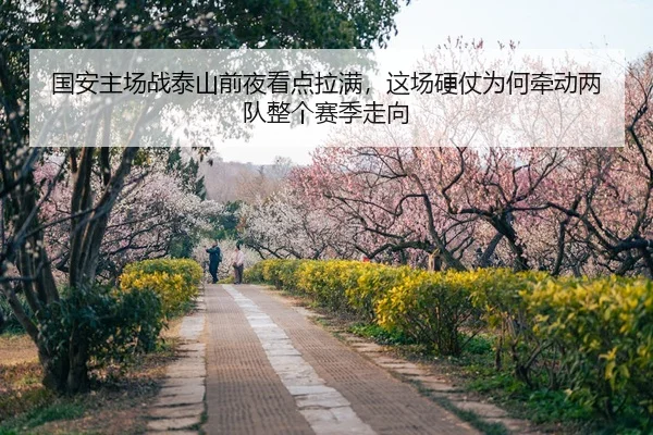 guo-an-zhu-chang-zhan-tai-shan-qian-ye-kan-dian-la-man-zhe-chang-ying-zhang-wei-he-qian-dong-liang-dui-zheng-ge-sai-ji-3-460.jpg