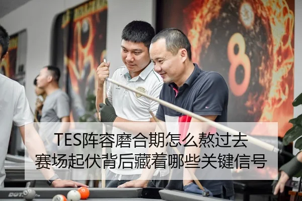 TES阵容磨合期怎么熬过去 赛场起伏背后藏着哪些关键信号